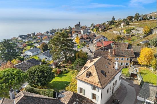 Elegant Maison de Maitre in the heart of the village, Charm and Authen