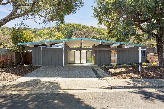 Mid-Century Modern Oasis!