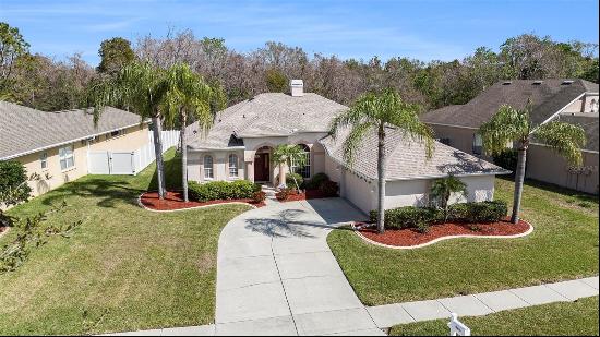 4215 Whittner Drive, Land O Lakes FL 34639