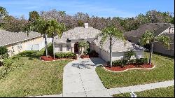 4215 Whittner Drive, Land O Lakes FL 34639