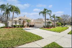 4215 Whittner Drive, Land O Lakes FL 34639