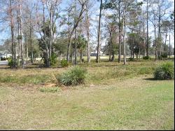 Lot 23 Audubon Wynd, Waverly GA 31565