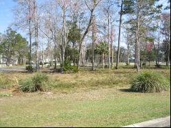 Lot 23 Audubon Wynd, Waverly GA 31565