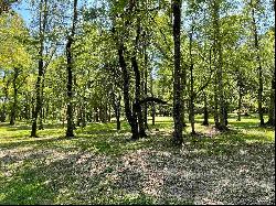 Lot 1-B Longleaf Ln, St Francisville LA 70775