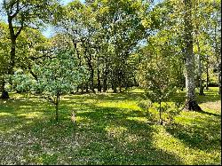 Lot 1-B Longleaf Ln, St Francisville LA 70775