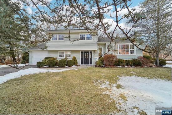 39 Billingsley Drive, Livingston NJ 07039