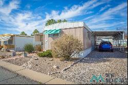 410 E 23rd #15 Street, Roswell NM 88201