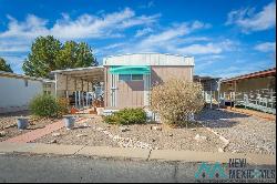 410 E 23rd #15 Street, Roswell NM 88201