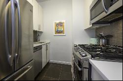 60 E 8th Street Unit 28D, New York City NY 10003