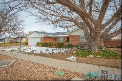 703 Canoncito Drive, Roswell NM 88201