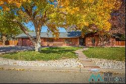 103 Tierra Berrenda Drive, Roswell NM 88201