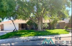 1108 San Juan Drive, Roswell NM 88201