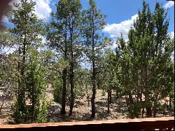 7137 Mogollon Trail, Happy Jack AZ 86024