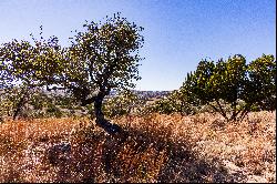 5-Acre Lot in Majedtic Hills Ranch 