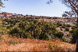 5-Acre Lot in Majedtic Hills Ranch 