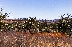 5-Acre Lot in Majedtic Hills Ranch 