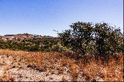 5-Acre Lot in Majedtic Hills Ranch 