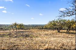 Redbud Vista