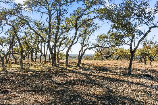 Redbud Vista