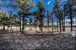 Rare opportunity to purchase a 9.5 acre parcel with Pikes Peak views