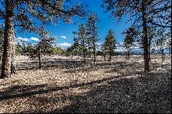 Rare opportunity to purchase a 9.5 acre parcel with Pikes Peak views