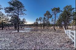 Rare opportunity to purchase a 9.5 acre parcel with Pikes Peak views