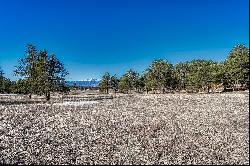 4.5 acre parcel in sought after Black Forest with Pikes Peak views