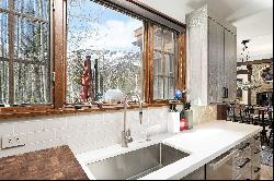 289 Exhibition Lane, Aspen, CO 81611