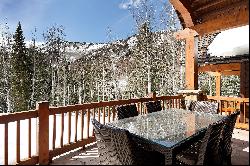 289 Exhibition Lane, Aspen, CO 81611