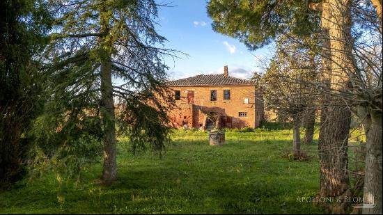 Montepulciano