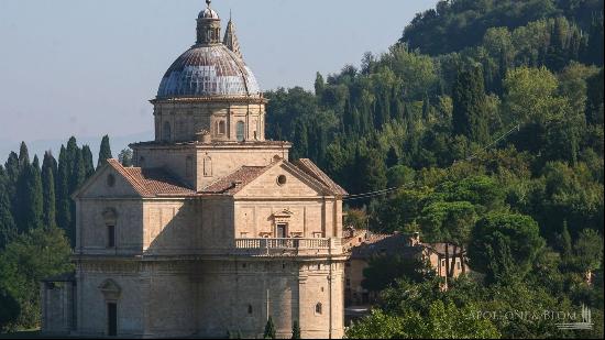 The Palace's cellar, Montepulciano, Siena - Tuscany