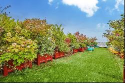 Penthouse - Terrace - Panoramic View of Paris