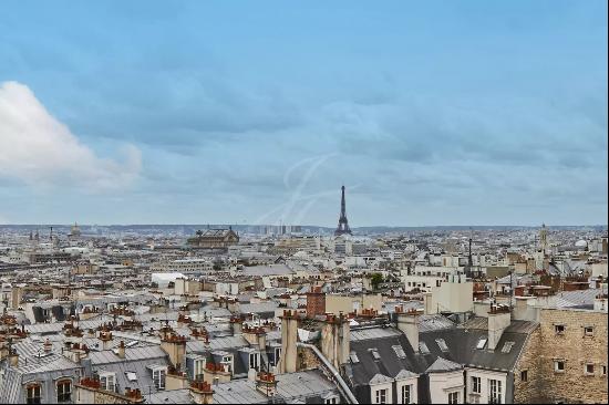 Penthouse - Terrace - Panoramic View of Paris