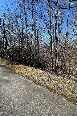 MISTY MOUNTAIN - BLOWING ROCK