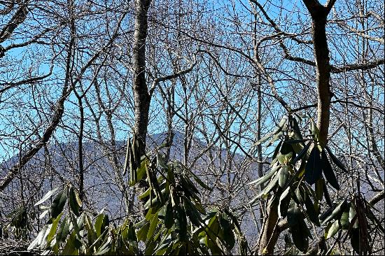 MISTY MOUNTAIN - BLOWING ROCK