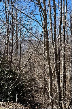 MISTY MOUNTAIN - BLOWING ROCK