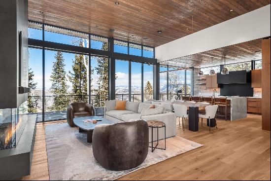 Stunning & Brand New Snowmass Village Ski Home