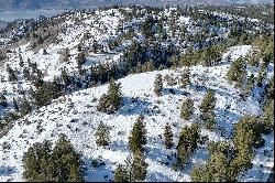 Three Acre Osoyoos Sanctuary