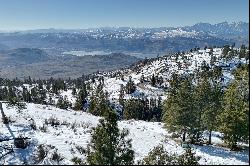 Three Acre Osoyoos Sanctuary