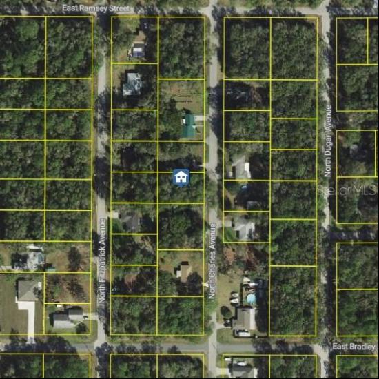 452 N Charles Avenue, Inverness FL 34453