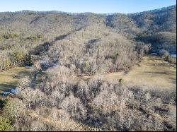 92 Acres Laurel Fork Rd #87&108, Bland VA 24315