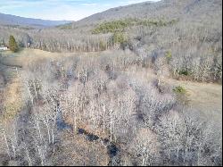 92 Acres Laurel Fork Rd #87&108, Bland VA 24315