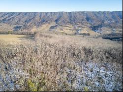 92 Acres Laurel Fork Rd #87&108, Bland VA 24315