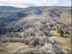 92 Acres Laurel Fork Rd #87&108, Bland VA 24315