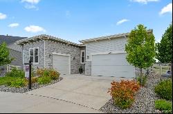 5290 Silver Hare Court, Castle Rock CO 80104