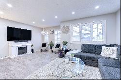 117 Decker Hollow Circle, Brampton ON L6X0L4