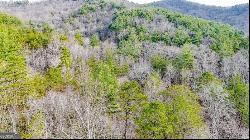 Owltown Road, Blairsville GA 30512