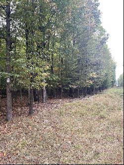 Ironwood Drive Parcel 11, Cheboygan MI 49721