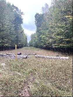 Ironwood Drive Parcel 11, Cheboygan MI 49721