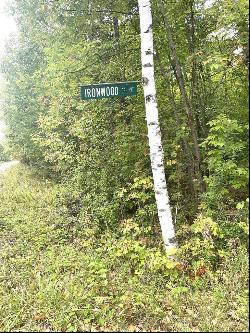 Ironwood Drive Parcel 11, Cheboygan MI 49721